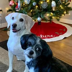 Meet your Posher, Mary